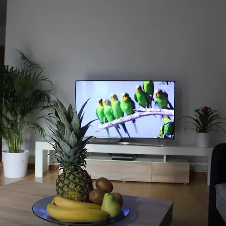 Apartamento Schiller *