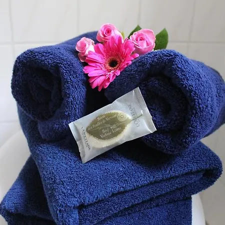 Schiller Apartamento *